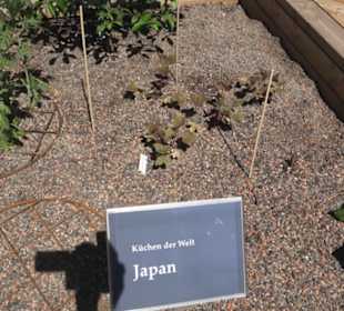 Botanischer Garten der Universität Zürich