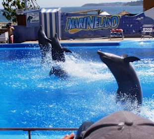 Marineland bei Palma