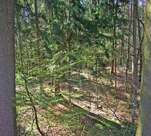 Der Bitterbach im Pegnitztal bei Nürnberg