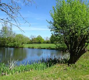 Eindrücke aus dem Walter-Peters-Park