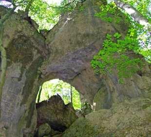Der Therapeutische Wanderweg