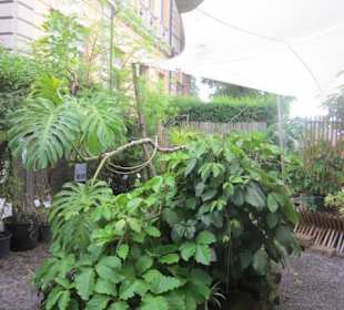 Botanischer Garten Bergamo