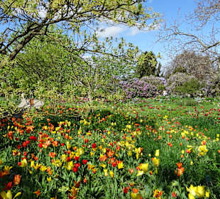 Sichtungsgarten Hermannshof