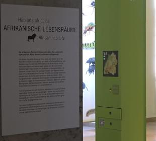 Staatliches Naturkunde Museum