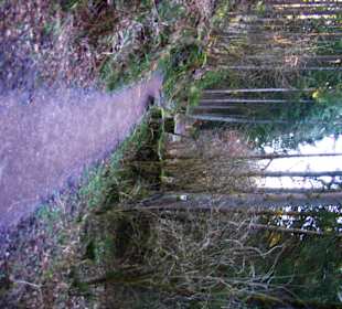 Hier gut ausgebaut der Weg