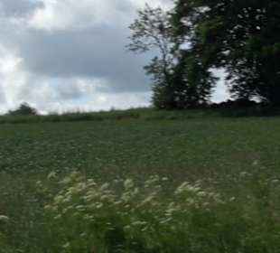 Premiumwanderweg "hochgehackert"