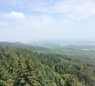 Ausblick