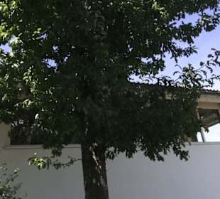 Stadtrundgang