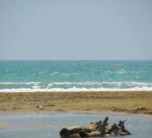 Strand von Bibione 06-2010