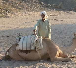 Kamelreiten