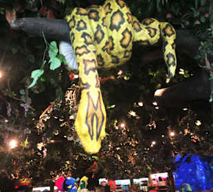Rainforest Cafe