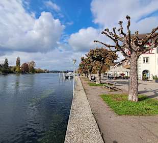 Hafen Stein am Rhein