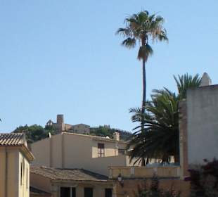 Blick auf das Castell