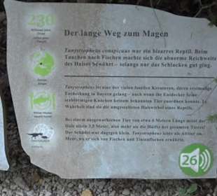 Dinosaurier Museum Altmühltal