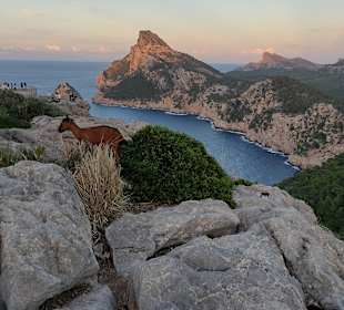 Far de Formentor