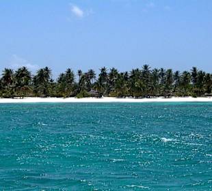 Saona