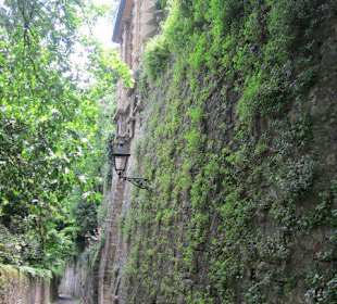 Die alte Festungsmauer