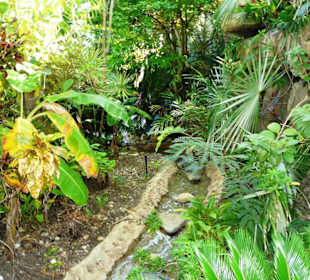 Schön angelegte Anlage