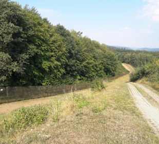 Grenzsicherung auch in Hanglagen
