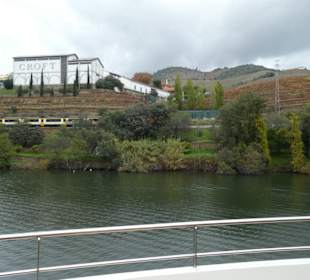 Weingut vom Fluss gesehen