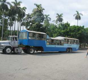 Bus in Havanna