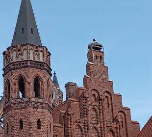 Stadtrundgang Tangermünde