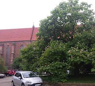 Stare Miasto Wrocław