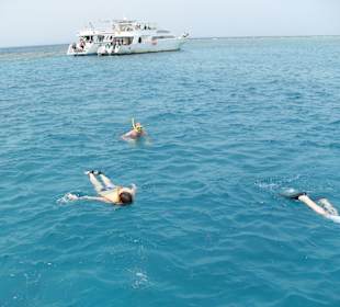 Schnorchel Tour