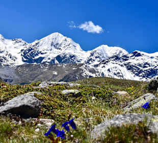 Wandern Sulden