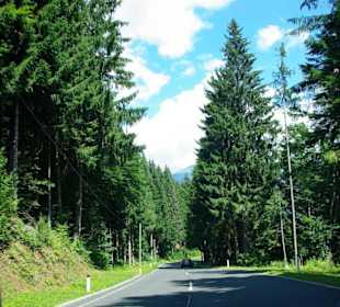 Abfahrt vom Plöckenpass