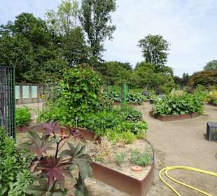Impressionen aus dem Botanischen Garten Düsseldorf
