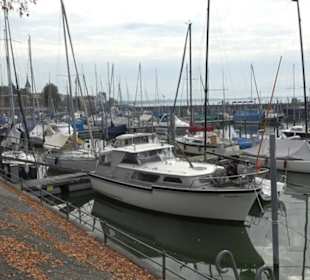 Yacht-Club Hafen
