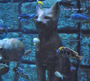 Ägyptisches Aquarium