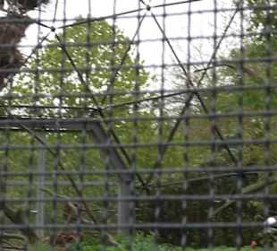 Tierpark 