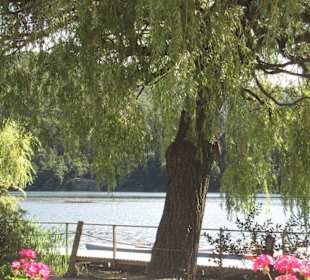 Aussicht von der Terrasse auf den Montiggler See