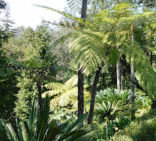 Monte Palace Tropical Garden