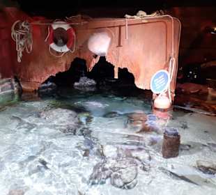 Sea-Life Aquarium in Speyer