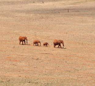 Widok z tarasu w restauracji