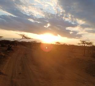 Tsavo Ost und West Safari