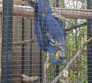 Bilder aus dem ZOO