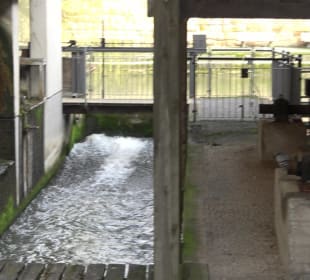 Wasserräder