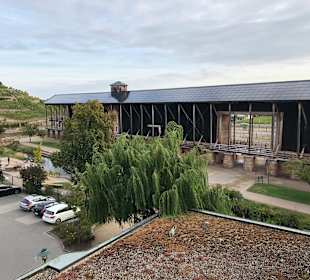 Gradierwerk Bad Dürkheim