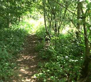 Wanderrunde Emeringen zum Rechtenstein