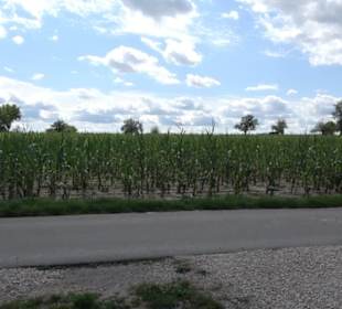 Wanderparkplatz am Friedhof