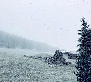 Wandern Sesvennahütte Mals/Malles Venosta