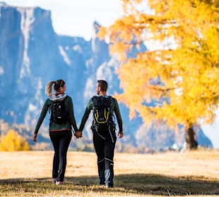 Wandern Schlern
