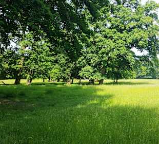 Schlossgarten Aussicht