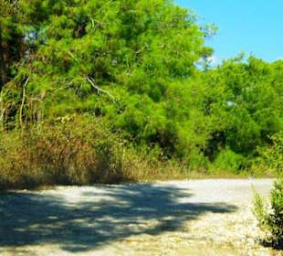 Rafting Selge Landschaft/An- & Abfahrt