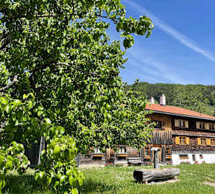 Wandern Oberstaufen