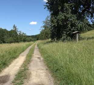 Eduard Lucas Musterobstgarten Mähringen
